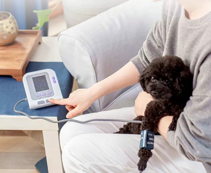Animal BP Monitor, Pet Supplies, Homes & Other Pet Accessories on Carousell