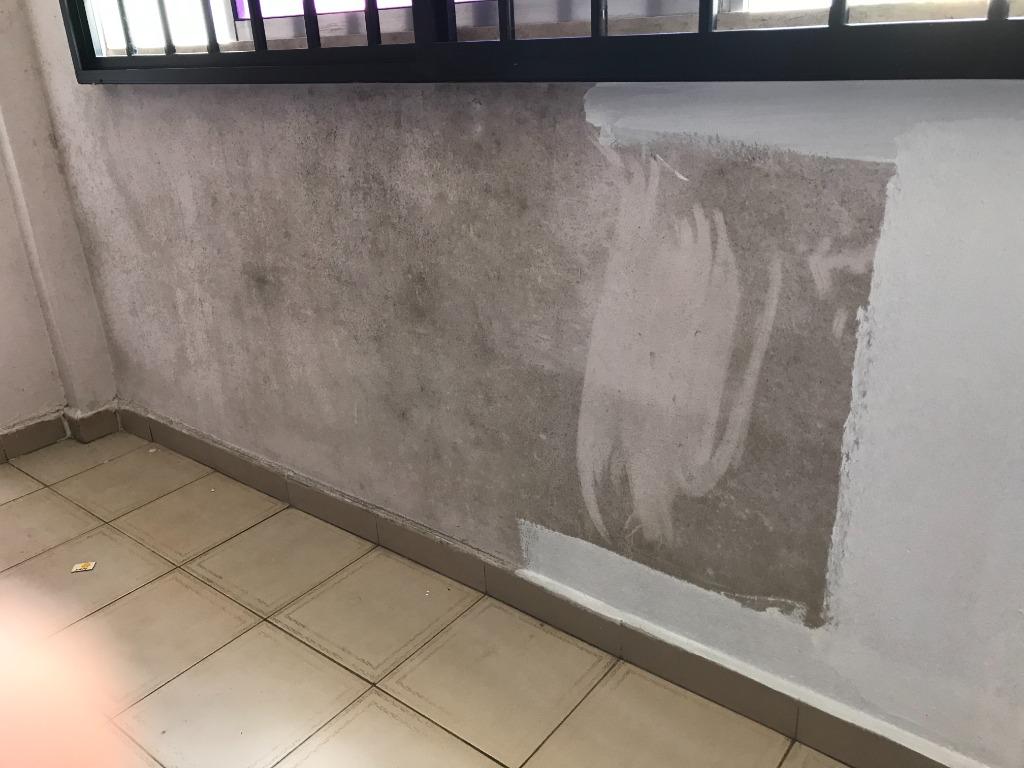 001 MOULDY WALLS & CEILINGS TREATMENT AntiMould Wall & Ceiling