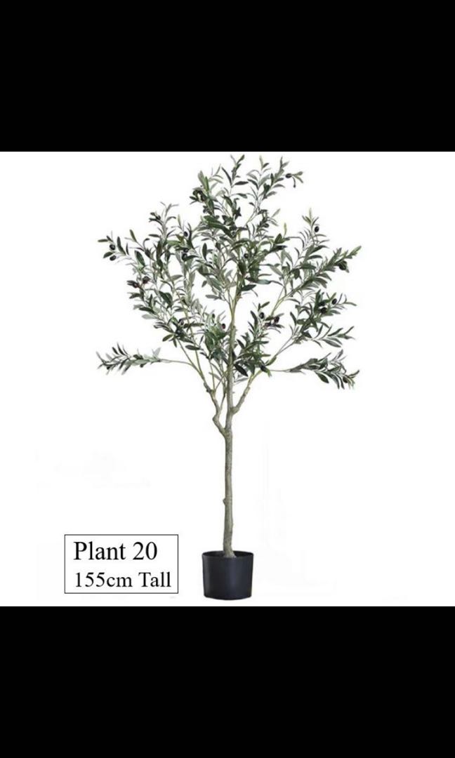 Artificial reallooking olive tree, Furniture & Home Living, Gardening