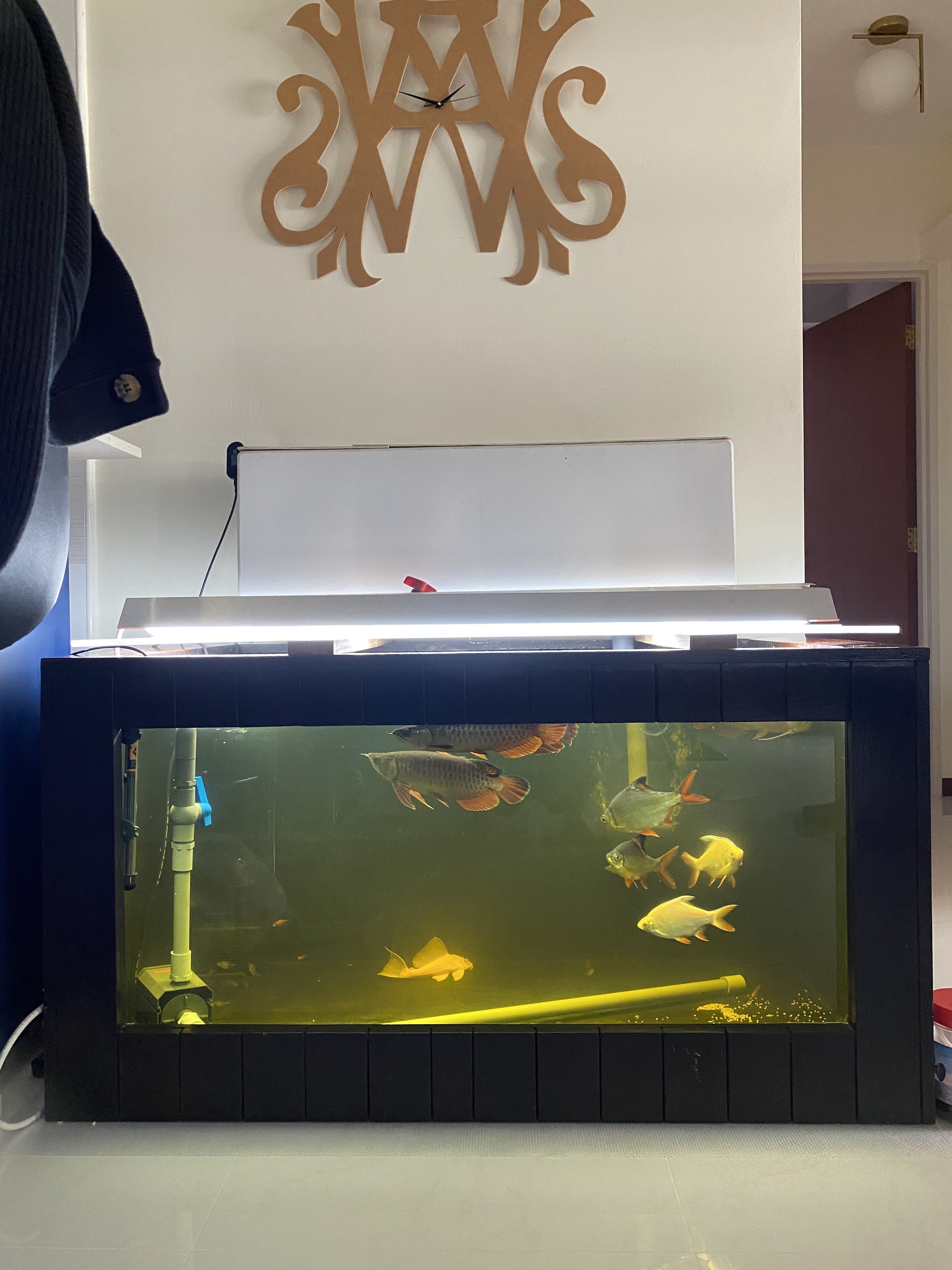 Goodwill fish tank top