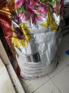 (Category: ) located in . Submitted by deepali28 (Listing ID 1155173292, Image 1). Description: .
