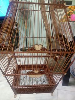 (Category: ) located in . Submitted by sue_ailly (Listing ID 1155260053, Image 1). Description: .