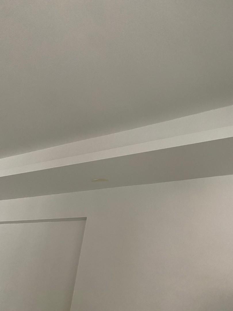 Lbox/ false ceiling/ cove light/ downlight/ cornice/ partition