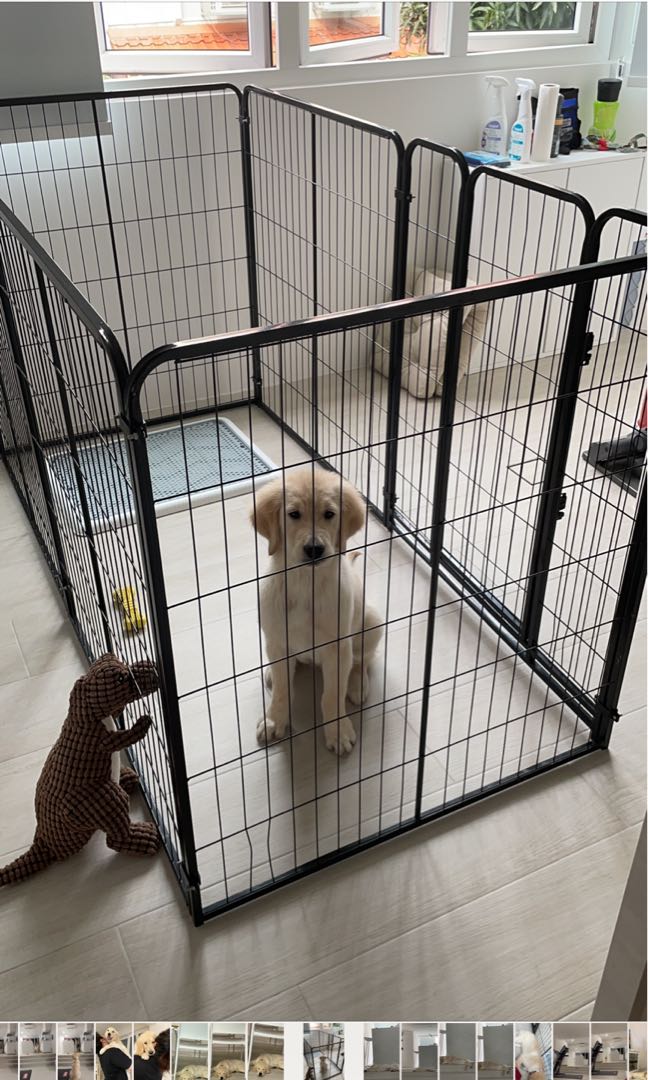 puppy pen cage