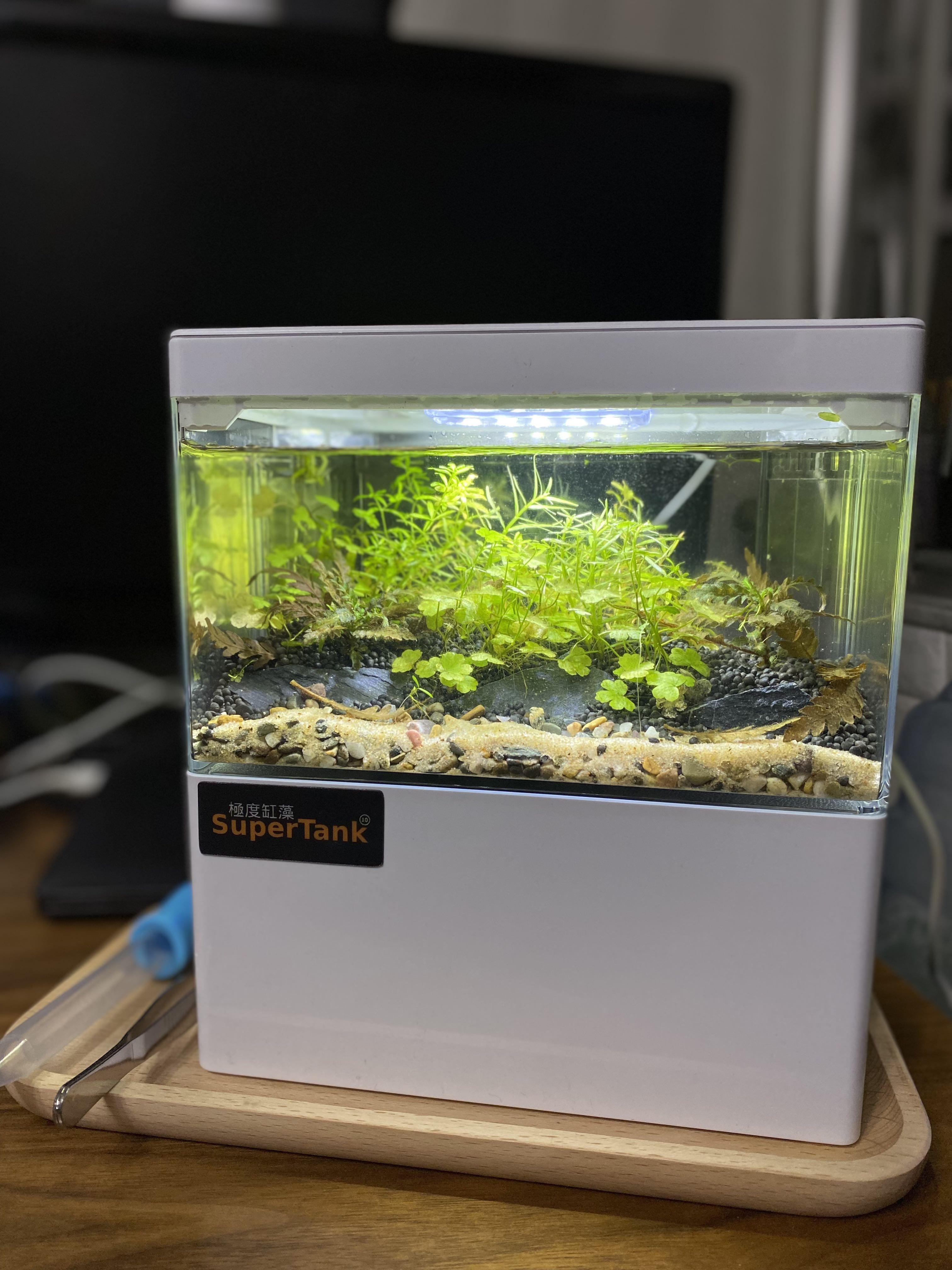迷你usb桌面水草魚缸連日式木托盤aquascape Nano Fish Tank 生態缸自然缸草缸風水缸辦公室書桌擺設可養魚蝦不需co2 海灘景2 全套連景送工具 寵物用品 寵物家品及其他