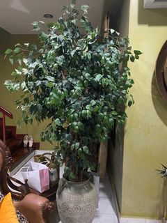 (Category: ) located in . Submitted by hanilovesit (Listing ID 1155536605, Image 1). Description: .