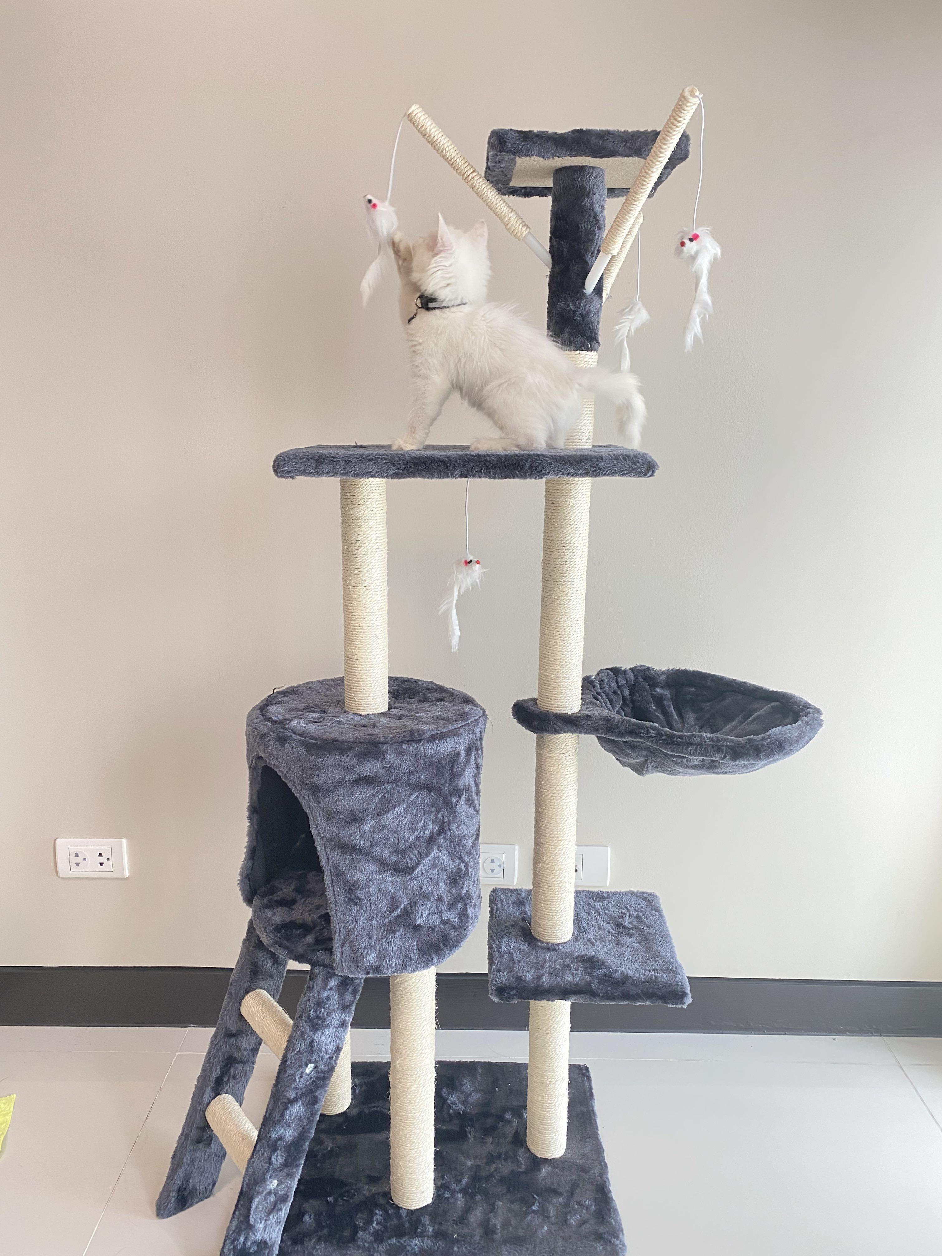 Scratch tower new arrivals
