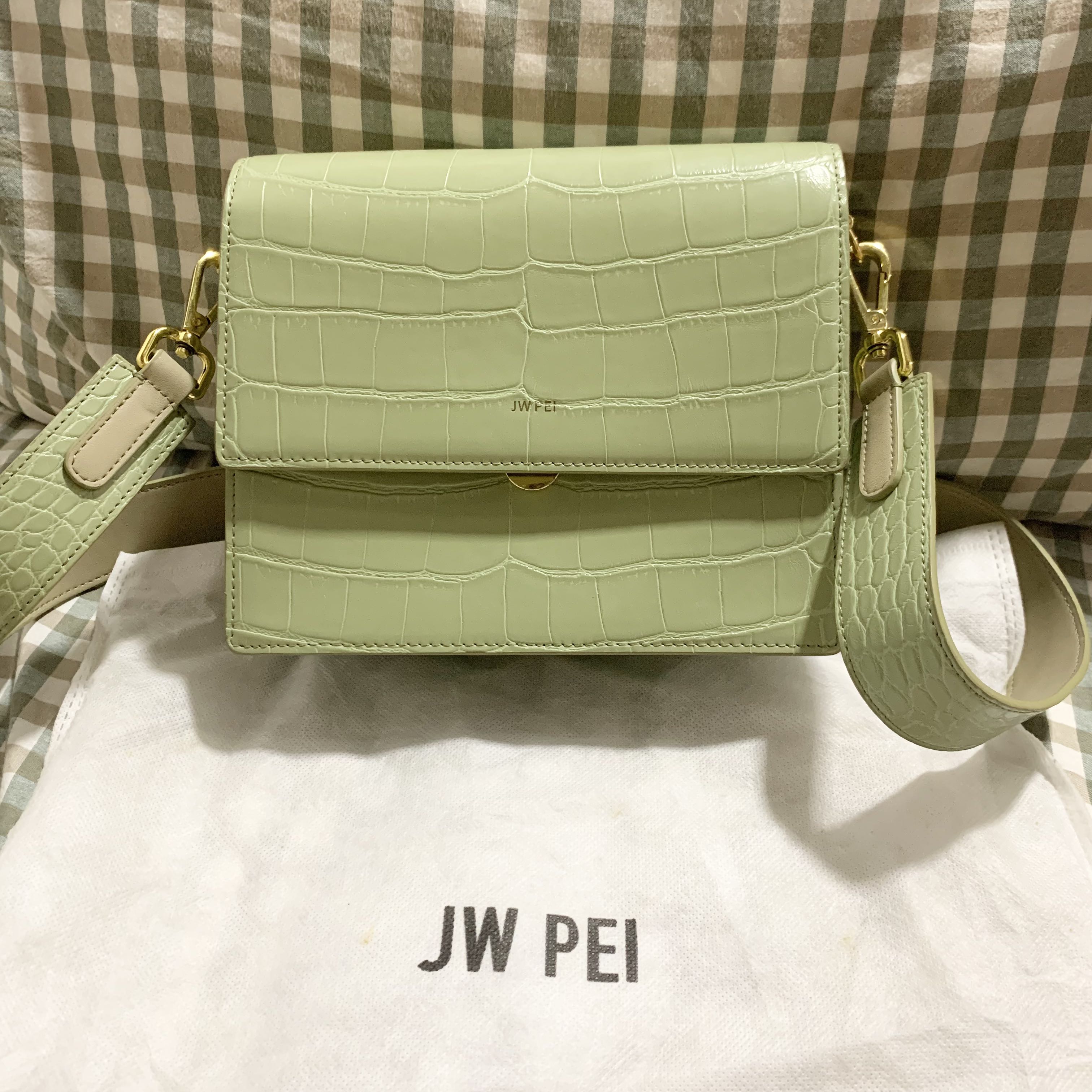 JW PEI Mini Flap Bag - Sage Green Croc, Women's Fashion, Bags