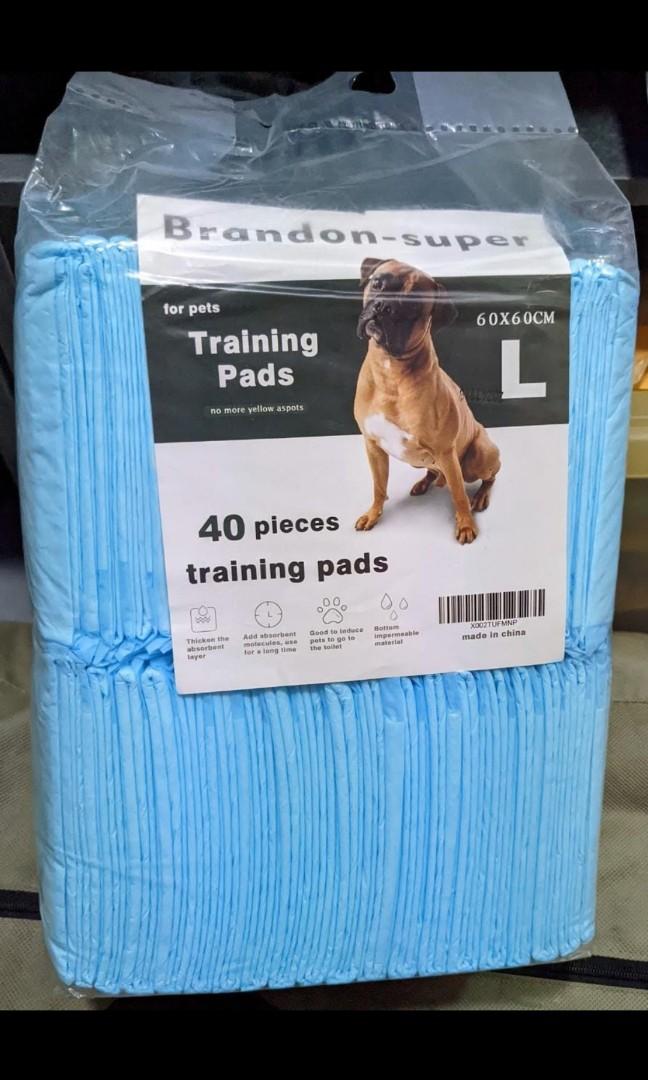 Pee tray + toilet training spray + pee pads bundle, Pet Supplies, Homes & Other Pet Accessories