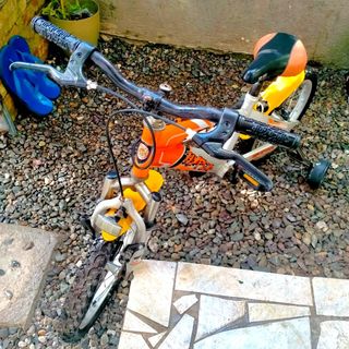 (Category: ) located in . Submitted by margie27 (Listing ID 1153753310, Image 1). Description: .