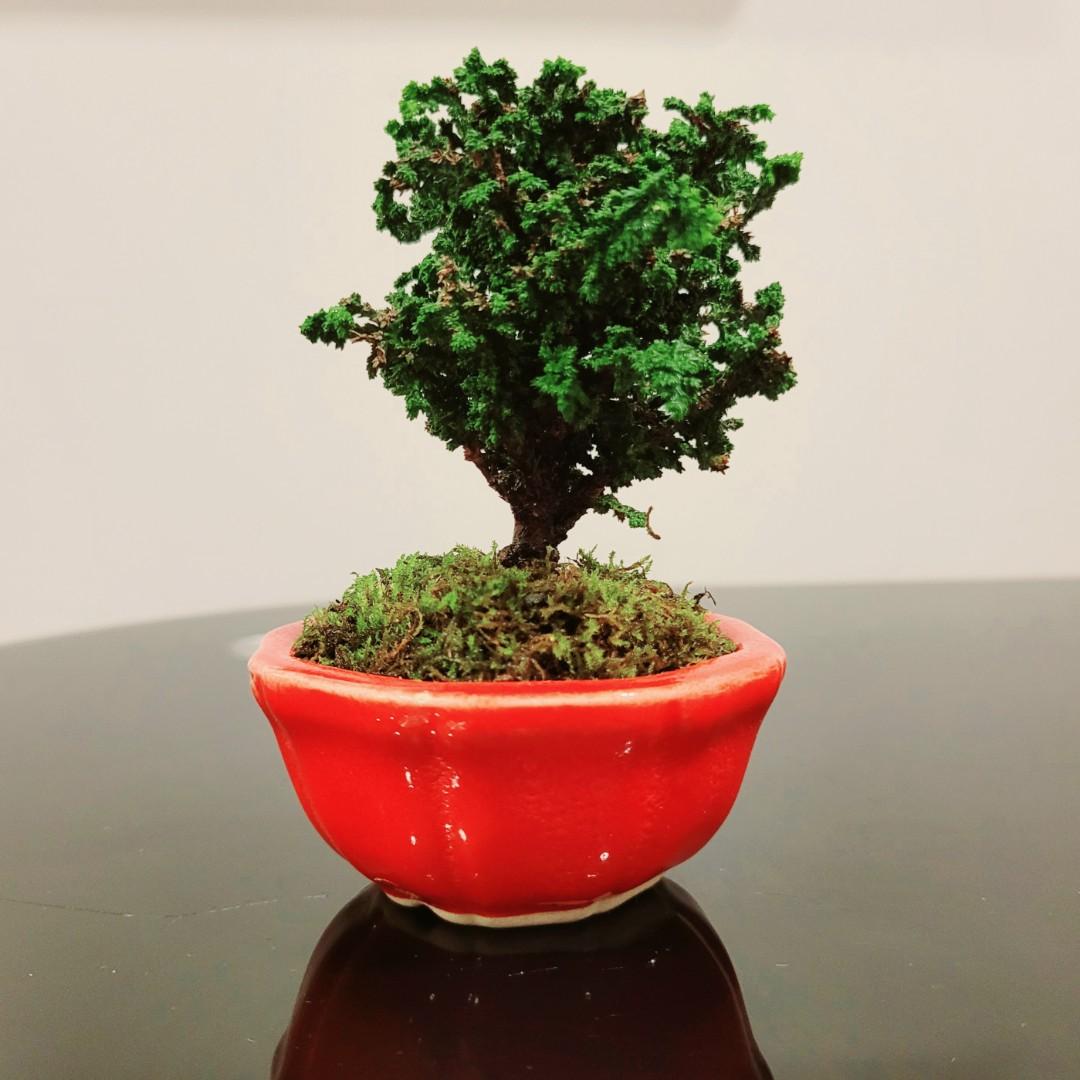 和雀 楕円 盆栽鉢 - 陶芸 和雀 楕円 盆栽鉢 - 陶芸