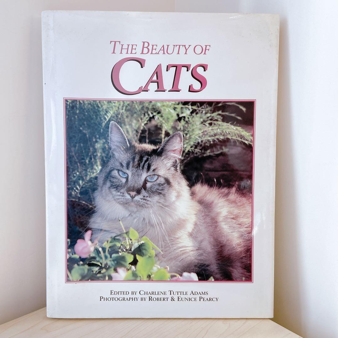 相集 貓貓寫真集全彩硬皮絕版 興趣及遊戲 書本 文具 小說 故事書 Carousell 相集 貓貓寫真集全彩硬皮絕版 興趣及遊戲 書本 文具 小說 故事書 Carousell