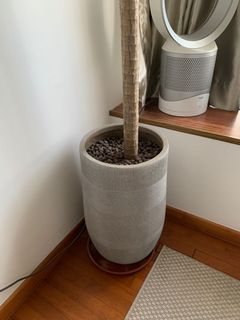 (Category: ) located in . Submitted by csgca (Listing ID 1155551232, Image 1). Description: .