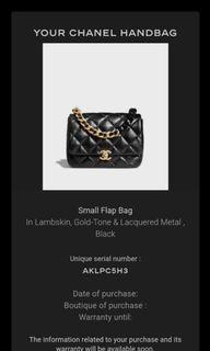 BNIB Chanel