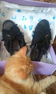 (Kategori: ) berada di . Dikirim oleh astri_hap (ID iklan 1155555959, Gambar 1). Deskripsi: .