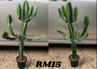 (Category: ) located in . Submitted by buatsemua (Listing ID 1155617092, Image 1). Description: .