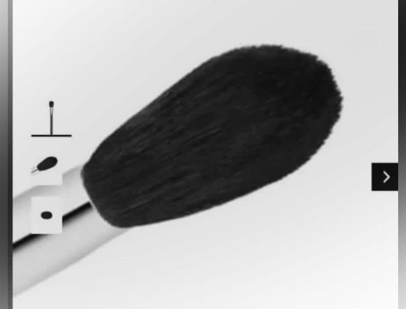 Mac POWDER/BLUSH BRUSH, Beauty & Personal Care, Face, Makeup on Carousell