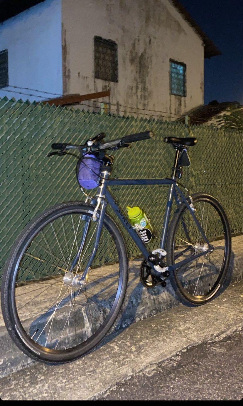 SURLY CROSS CHECK 54cm FRAME