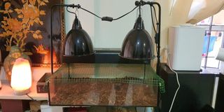 (Category: ) located in . Submitted by gjiun (Listing ID 1155547937, Image 1). Description: .