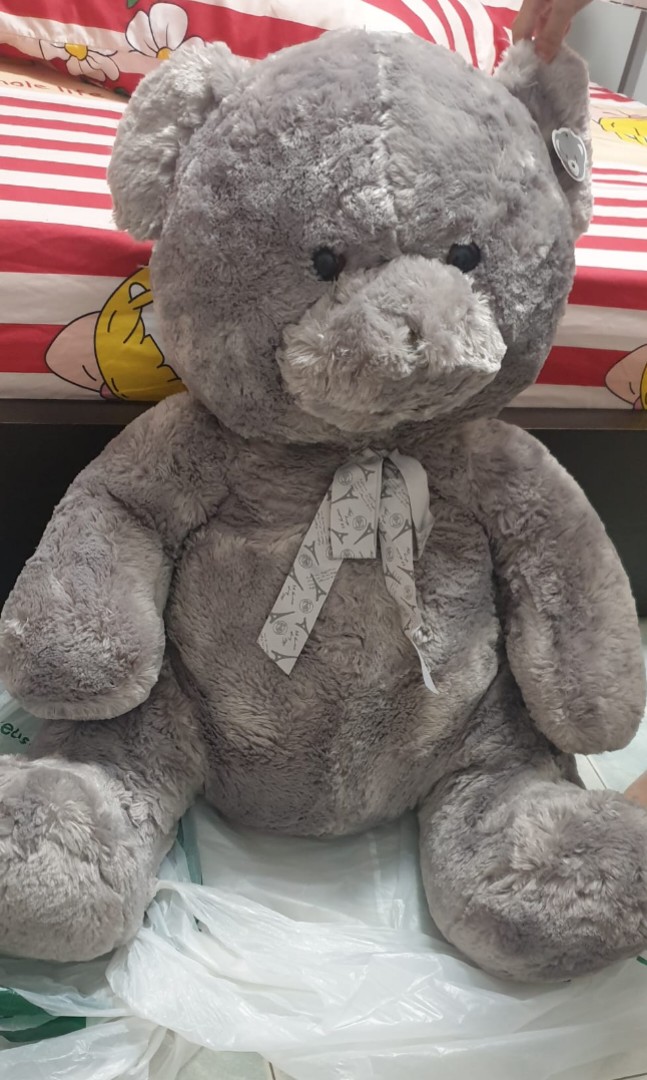 grey big teddy bear