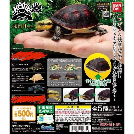 現貨全新扭蛋BANDAI 環保黃緣閉殼龜鱷魚龜2種2,3,4 號, 興趣及遊戲, 玩具& 遊戲類- Carousell 現貨全新扭蛋Bandai 環保黃緣閉殼龜鱷魚龜2種2,3,4 號, 興趣及遊戲, 玩具& 遊戲類- Carousell