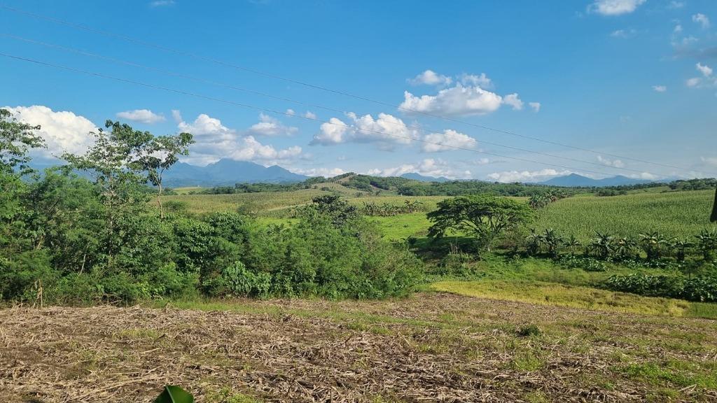 Rush! 10 Hectares Agricultural Lot For Sale in Quirino!!, Property, For