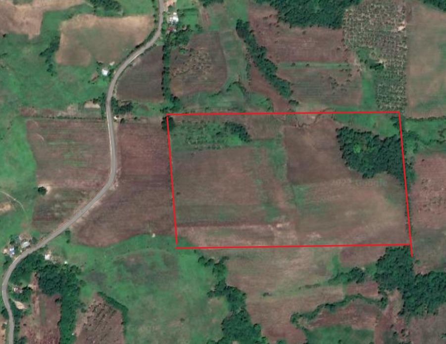 Rush! 10 Hectares Agricultural Lot For Sale in Quirino!!, Property, For