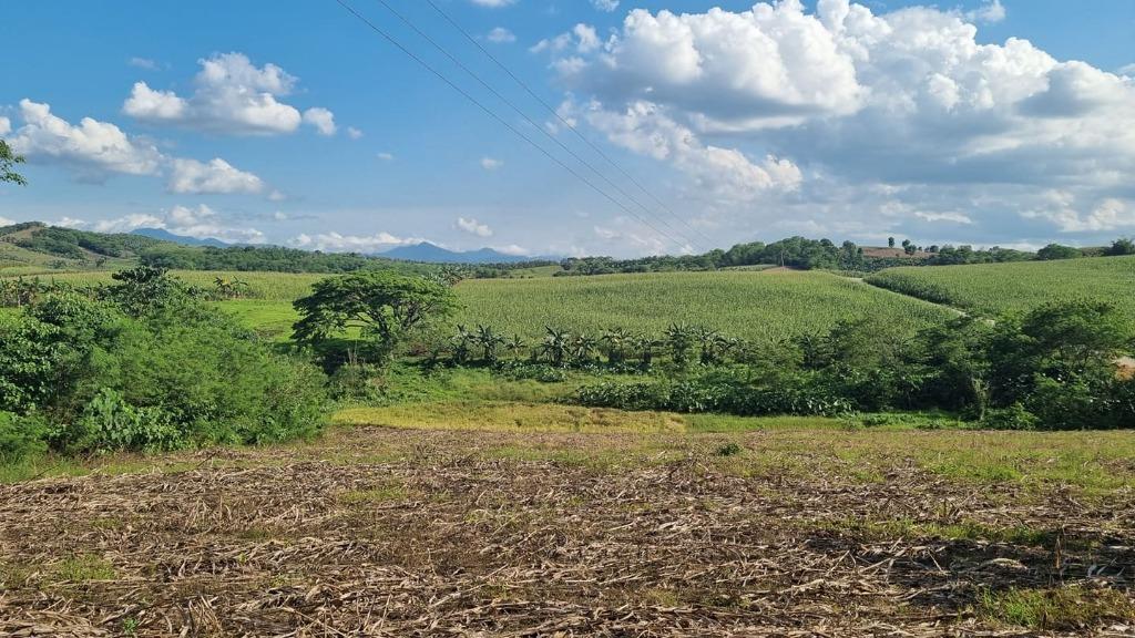 Rush! 10 Hectares Agricultural Lot For Sale in Quirino!!, Property, For