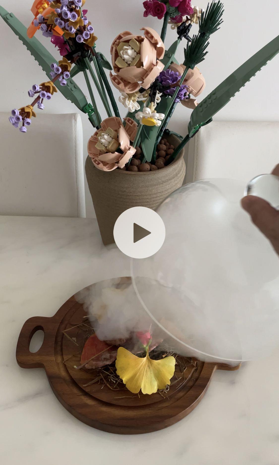 Breville Smoking Gun Pro Smoke Infuser CSM700, Furniture & Home Living