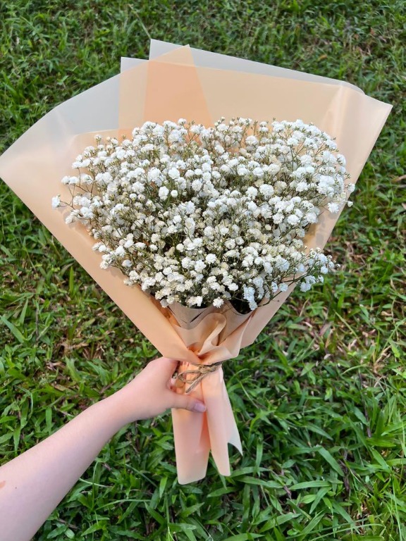 Fresh Baby's Breath Bouquet, Hobbies & Toys, Stationery & Craft