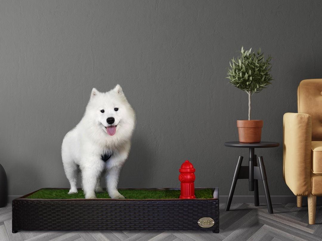 porch potty fire hydrant