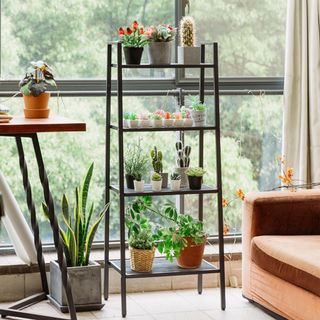 (Category: ) located in . Submitted by myinfinityhomes (Listing ID 1155776917, Image 1). Description: .