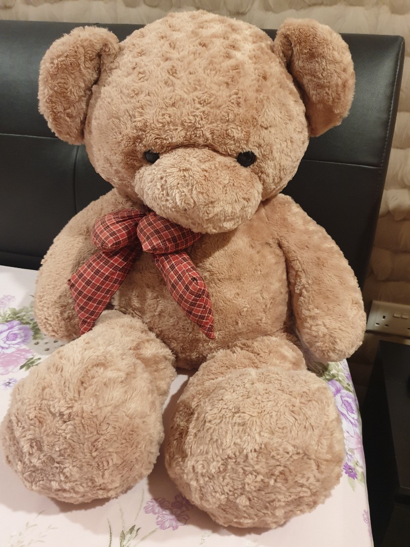medium size teddy bear