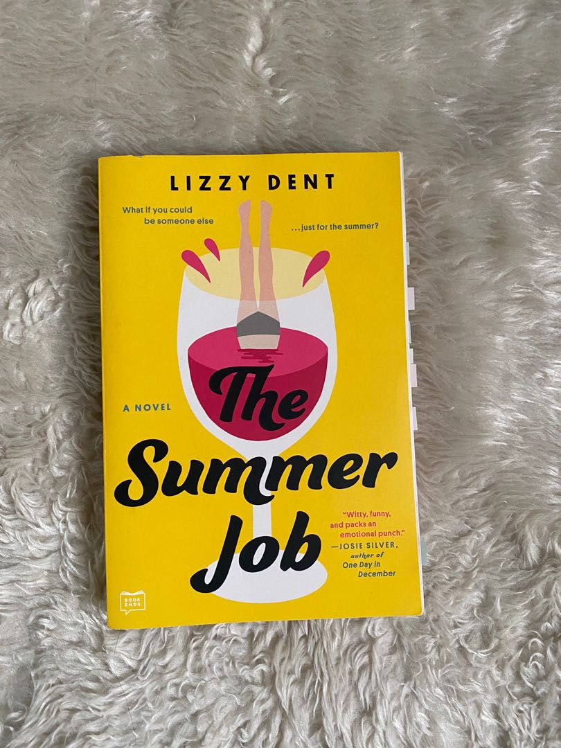 The summer job by Lizzy Dent, Hobbies & Toys, Books