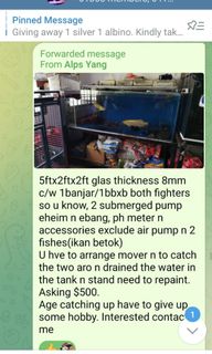 (Category: ) located in . Submitted by 1624alpsyang (Listing ID 1155987354, Image 1). Description: .