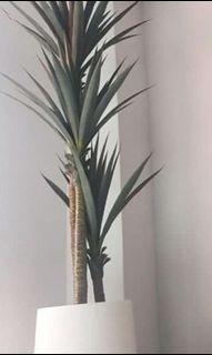 BN Sisal Artificial Plant