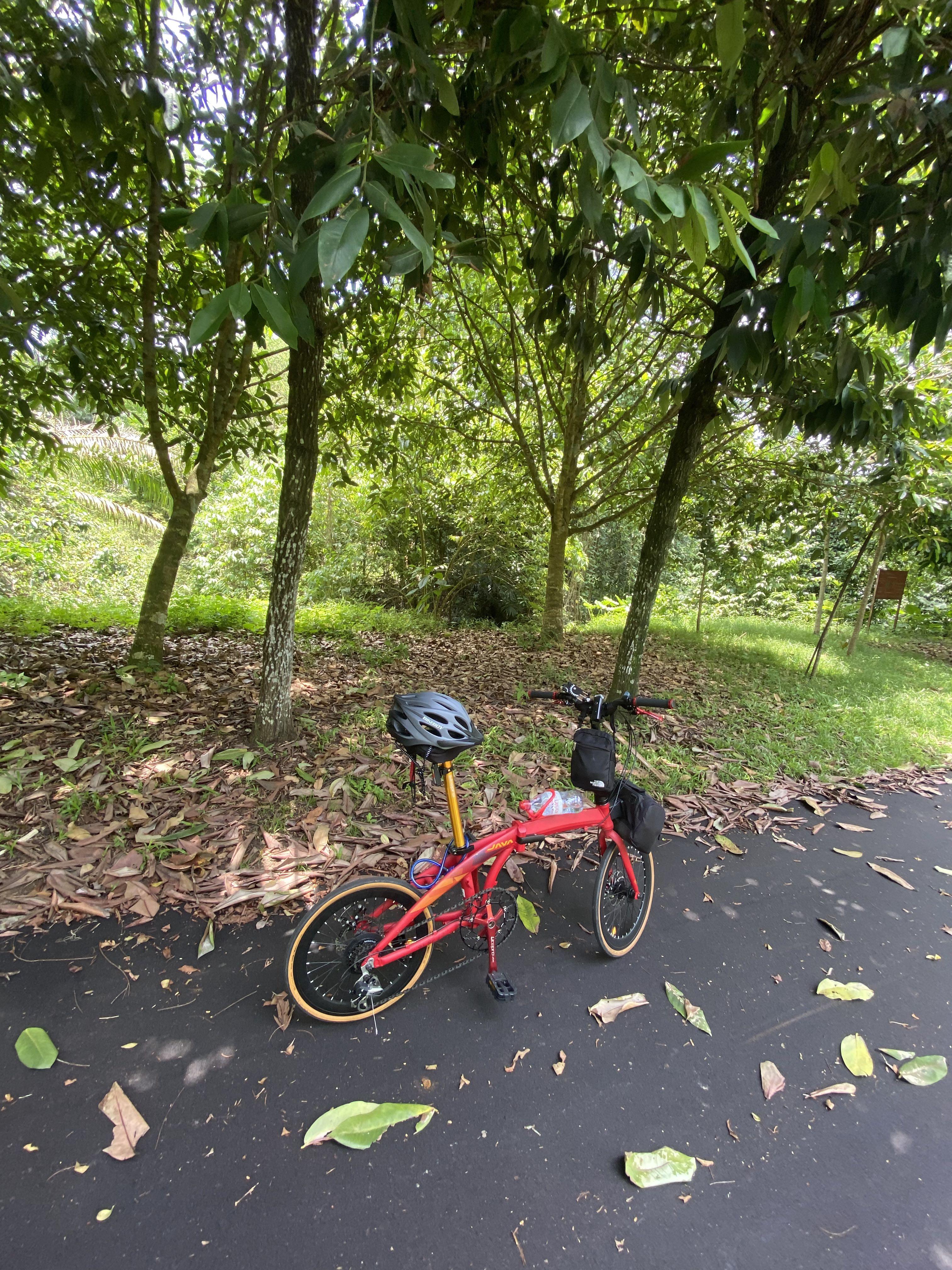 Java Zelo II (Category: Bicycles) located in Singapore. Submitted by meiyochian (Listing ID 1156135040, Image 1). Description: Java Zelo II to let go Upgraded parts : Seat post Carbon Handle bar + grip + brake lever Crank + chain Rim + thinner tyre Pig nose Ori seat post and extra tubing will be given Not to forget front and back lights If ure okay, u can take the helmet too, use once only. (Pig nose, bag, lights, helmet already spent 100+ on thi