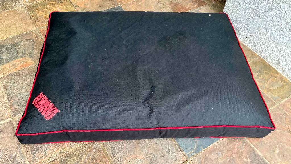 Kong dog sale beds