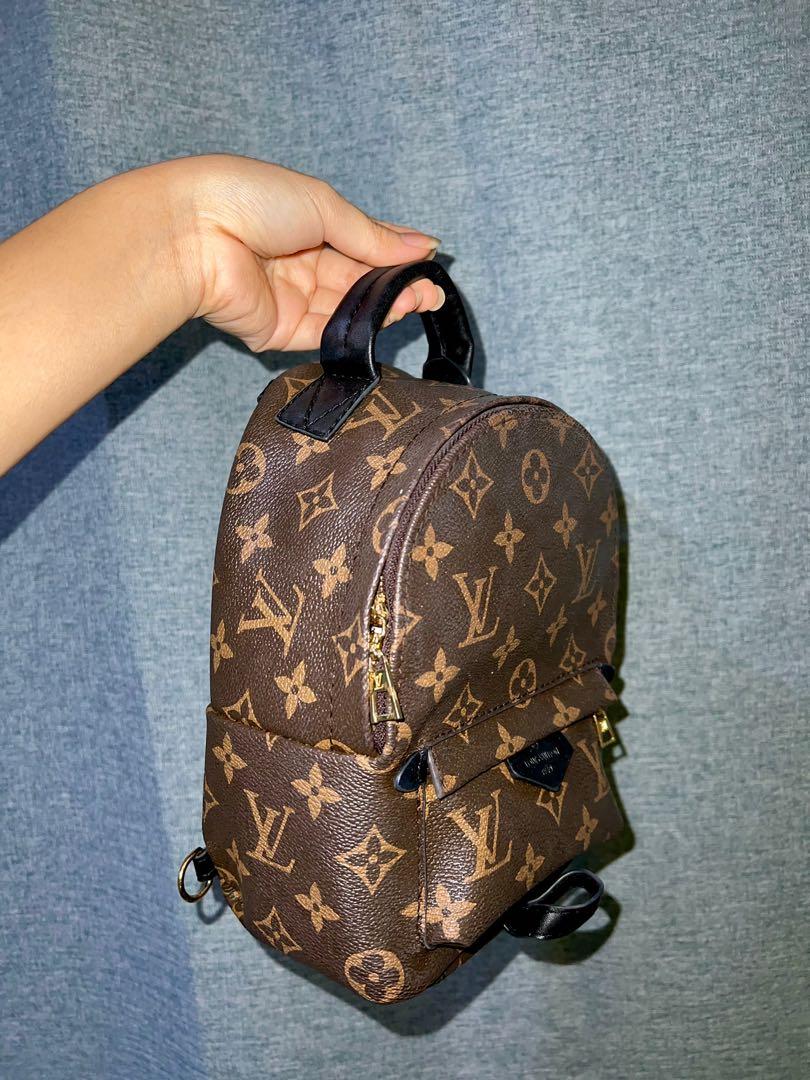 Palm spring 2025 mini backpack dupe
