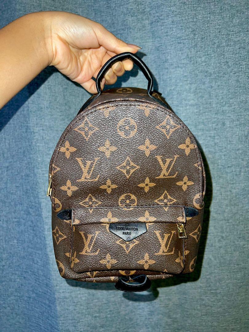 Palm spring sales mini backpack dupe