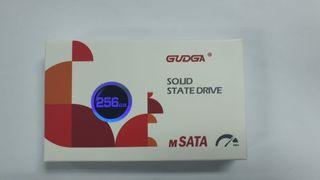 Msata SSD GM256