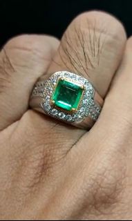 (Category: ) located in . Submitted by EmeraldLover (Listing ID 1156022079, Image 1). Description: .