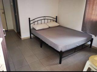 No landlord 