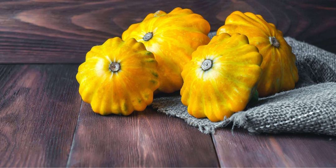 PATISSON GOLDEN MARBRE SCALLOP SQUASH 金色大理石扇貝南瓜, 傢俬&家居, 園藝, 植物及種子