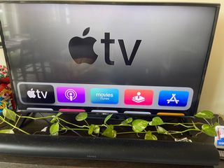 (Category: ) located in . Submitted by shashankarora (Listing ID 1156019135, Image 1). Description: .
