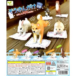 由 ronniepingu (刊登 ID 1152687895，圖片 1) 提交，位於 的 (類別：)，說明：。