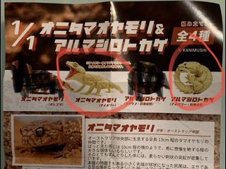 （分類：）位於 。 由 brother09 提交（商品編號 1152609693，圖片 1）。簡介： 。