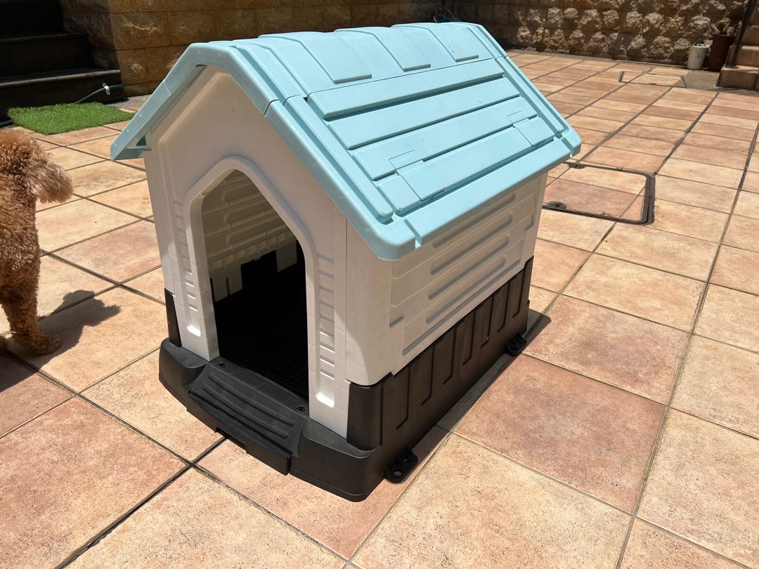 Dog House, Pet Supplies, Homes & Other Pet Accessories on Carousell
