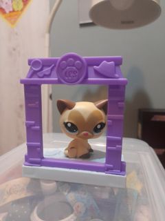 （分類：）位於 。 由 bilubilu 提交（商品編號 1152732760，圖片 1）。簡介： 。