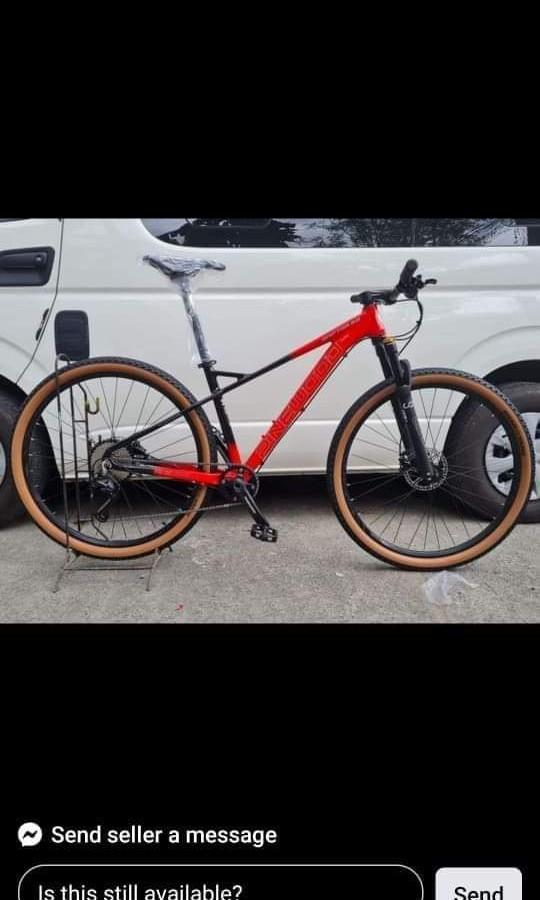 Pinewood RAPTOR 29ER